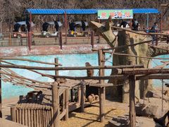 -沈阳森林动物园