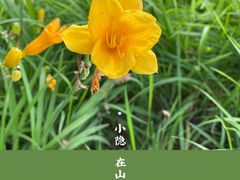 -安德鲁户外烧烤帐篷营地(马泉营店)