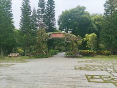 -东莞植物园