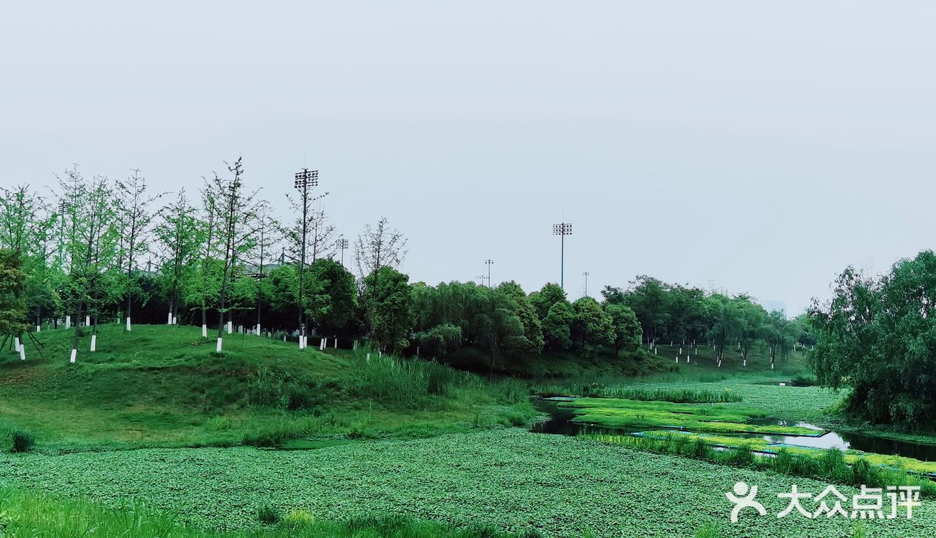 春天怎可不出去野餐煮茶呢？