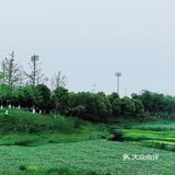 春天怎可不出去野餐煮茶呢？