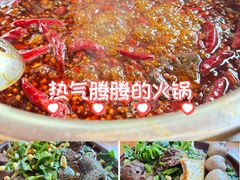 -华丰火锅(双林北横路店)