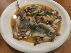 红烧河豚-9号小厨师(端平桥店)