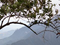 -庐山风景名胜区