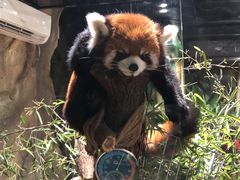 -海合安武汉极地海洋公园