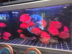 -大汉足道·影院式足疗按摩SPA(友谊广场店)