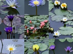 -国家植物园南园