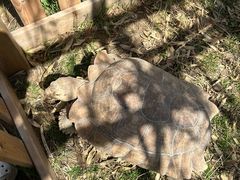 -鄂尔多斯野生动物园