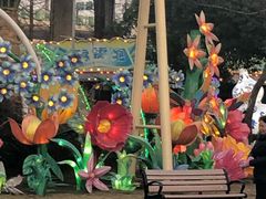 -锦江乐园舞狸花花游园会(夜场专享)