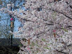 -堤角公园