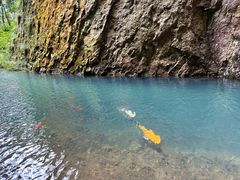 -雁荡山三折瀑景区