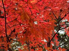 -本溪老边沟风景区