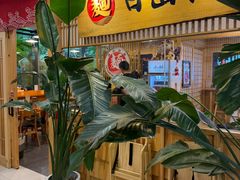 -日出拉面(望京店)