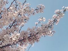 -龙美术馆(西岸馆)
