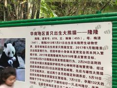 -童趣廊(长隆熊猫酒店)