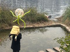 -恩阳古镇