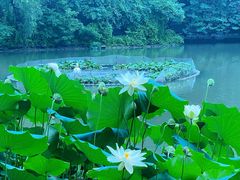 -北京动物园-畅观楼