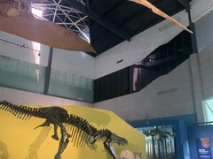 -湖南省地质博物馆