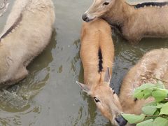-宁波杭州湾国家湿地公园