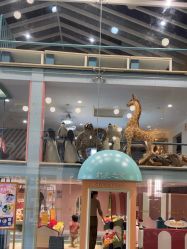 -奈尔宝·儿童乐园·亲子餐厅(星河湾店)