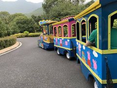 -羡餐厅·杭帮菜·淳菜(千岛湖自由洲际殿店)