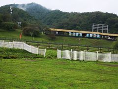 -大水川景区