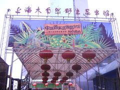 6443666_807005450_rotate-上海大自然野生昆虫馆