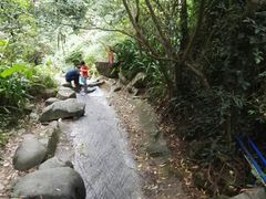 -火炉山森林公园
