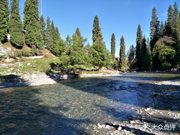 琼库什台紫花坡图片 - 第18张
