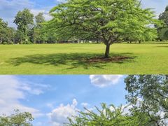 -中国科学院华南植物园