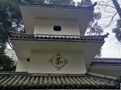 -温江公园