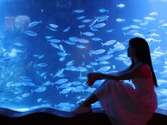 -太平洋海底世界