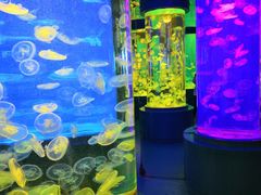 -石林冰雪海洋世界