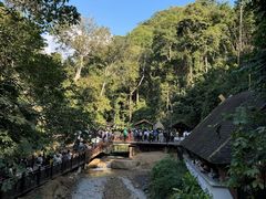 -西双版纳原始森林公园