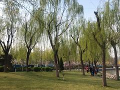 -廊坊文化艺术中心