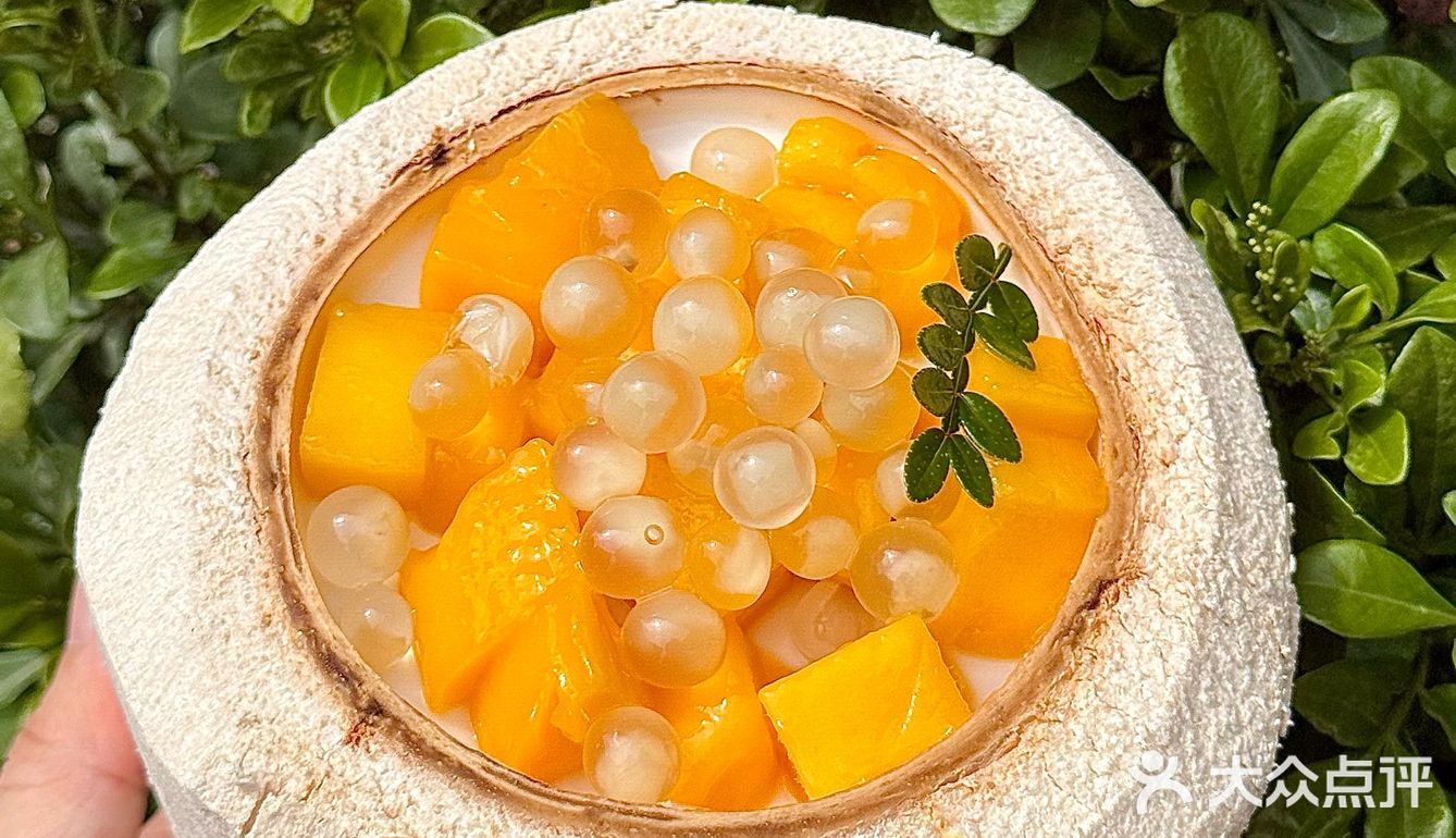 江门椰不二❗️爱上有椰子冻的夏天