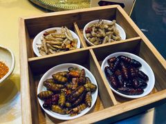 -昆虫窝子·特色云南菜(拓东路总店)