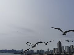 -星海广场