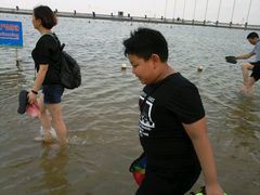 -碧海金沙