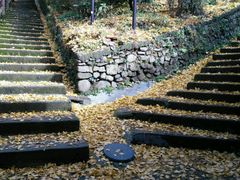 -藏龙百瀑风景区