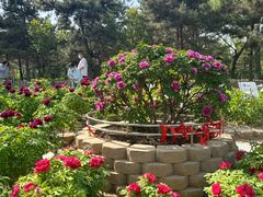 -太阳宫公园