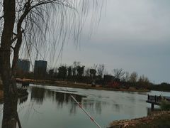 -九科绿洲