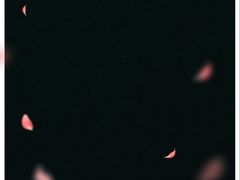 -有口福第一马蹄粉(泮塘总店)