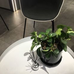 -SEBASTIAN塞巴斯汀