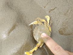 -南澳海滩