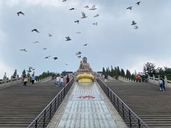 -龙口南山旅游景区
