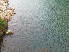 android_upload_pic-祁门牯牛降观音堂风景区