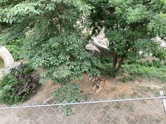 -石家庄市动物园