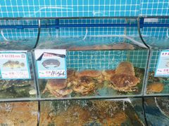 水产区-范饭椰林川湘味海鲜·椰子鸡(三亚湾椰梦长廊店)