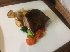 -百好乐宠物友好餐厅(朝外大街店)